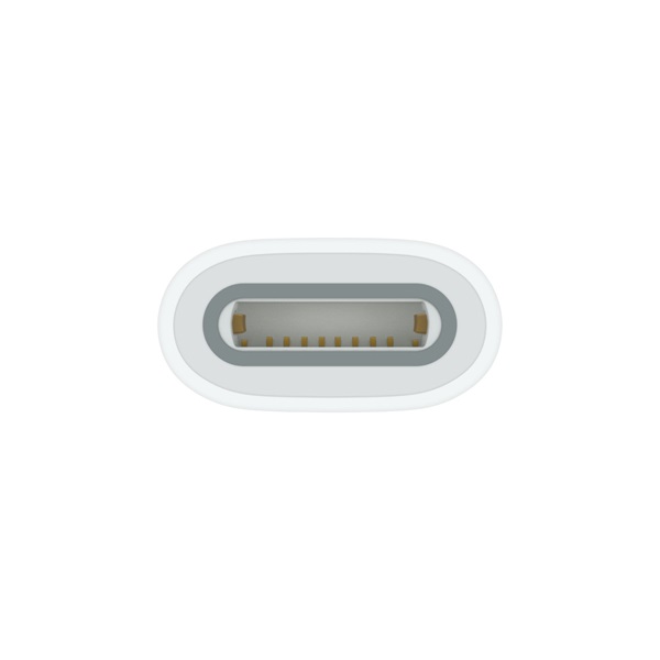 Apple mwml3zm/a Type-C - Apple Pencil adapter