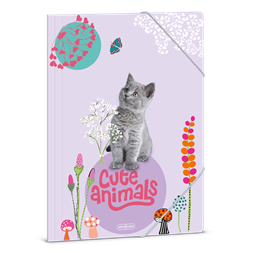 Ars Una Cute Animals-Kitten 24 (5368) A4 gumis mappa