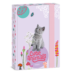 Ars Una Cute Animals-Kitten 24 (5368) A5 füzetbox