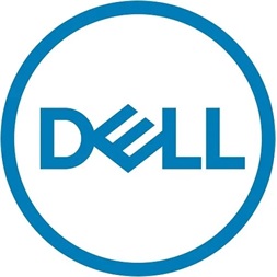 DELL ISG 161-BBPH  4TB Hard Drive NLSAS 12Gbps 7.2K 512n 3.5in Hot-Plug Customer Kit