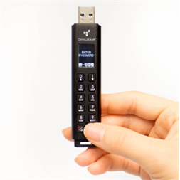 DataLocker 32GB USB3.1 Sentry K300 Encrypted Micro SSD (SK300-032) Flash Drive