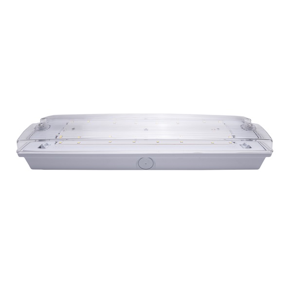 Iris Lighting I820EMEX3H3W IP65 3w 3h oldalfali biztonsági és irányfény lámpatest