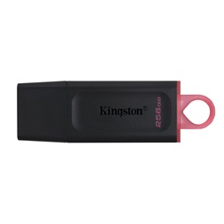 Kingston 256GB USB3.2 DataTraveler Exodia (DTX/256GB) Flash Drive