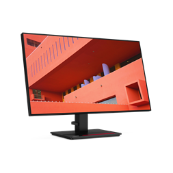 LENOVO ThinkVision 61E9GAR6EU 27" P27h-20 IPS monitor