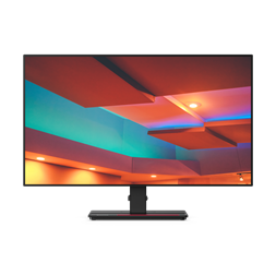 LENOVO ThinkVision 61E9GAR6EU 27" P27h-20 IPS monitor