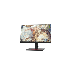 LENOVO ThinkVision 61FEMAR6EU T22i-20 IPS monitor