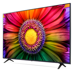 LG 55" 55UR80003LJ 4K UHD Smart LED TV