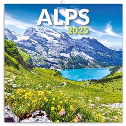 Realsystem 2025 Alps 6097-AL falinaptár