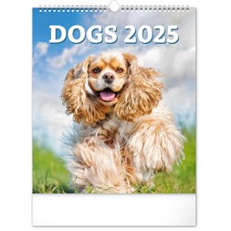 Realsystem 2025 Dogs 6087-DO falinaptár