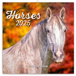 Realsystem 2025 Horses 6097-HO falinaptár