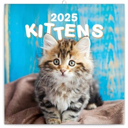 Realsystem 2025 Kittens 6097-KI falinaptár