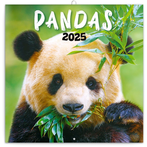 Realsystem 2025 Pandas 6097-PS lemeznaptár