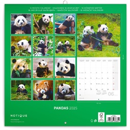 Realsystem 2025 Pandas 6097-PS lemeznaptár