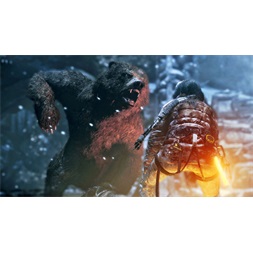 Rise Of The Tomb Raider 20 Year Celebration Edition PS4 játékszoftver