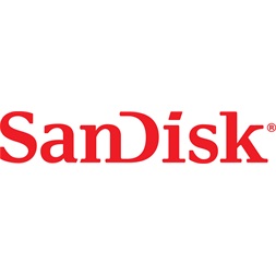 Sandisk 00139717 256GB USB3.0 Cruzer Ultra Flash Drive