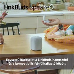 Sony SRS-LS1 LinkBuds szürke hordozható Bluetooth hangszóró