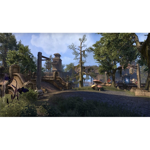 The Elder Scrolls Online: Morrowind PC játékszoftver