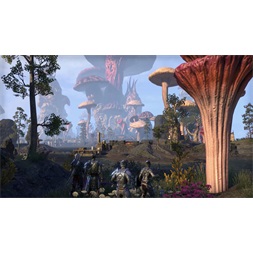 The Elder Scrolls Online: Morrowind PC játékszoftver