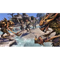 The Elder Scrolls Online: Summerset PS4 játékszoftver