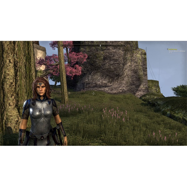 The Elder Scrolls Online: Tamriel Unlimited Xbox One játékszoftver