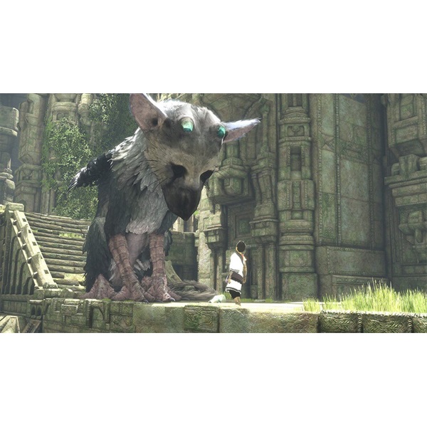 The Last Guardian PS4 játékszoftver