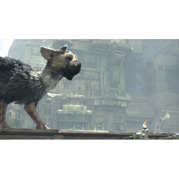 The Last Guardian PS4 játékszoftver