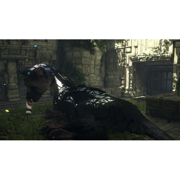 The Last Guardian PS4 játékszoftver