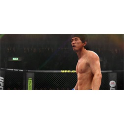 UFC /1013889/ PS4 játékszoftver