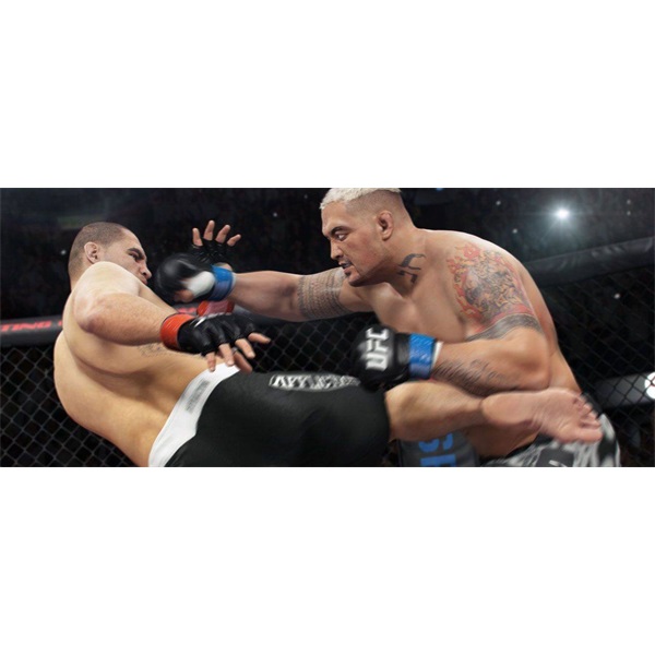 UFC /1013889/ PS4 játékszoftver