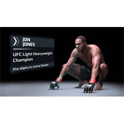 UFC /1013889/ PS4 játékszoftver