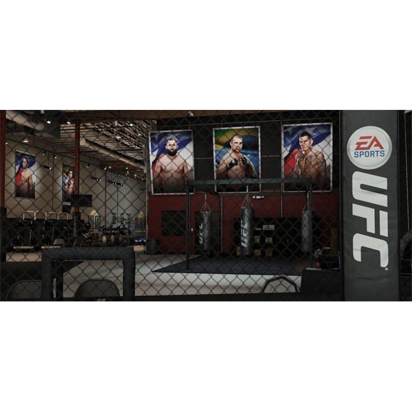 UFC /1013889/ PS4 játékszoftver