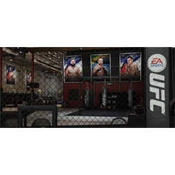 UFC /1013889/ PS4 játékszoftver