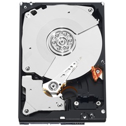 Western Digital 3,5" 500GB belső SATAIII 7200RPM 64MB Black Caviar WD5003AZEX winchester